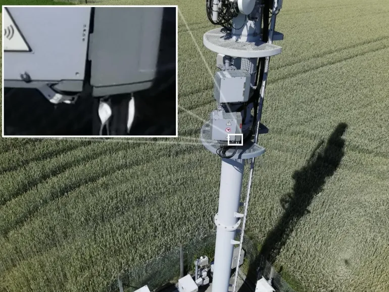 Drone