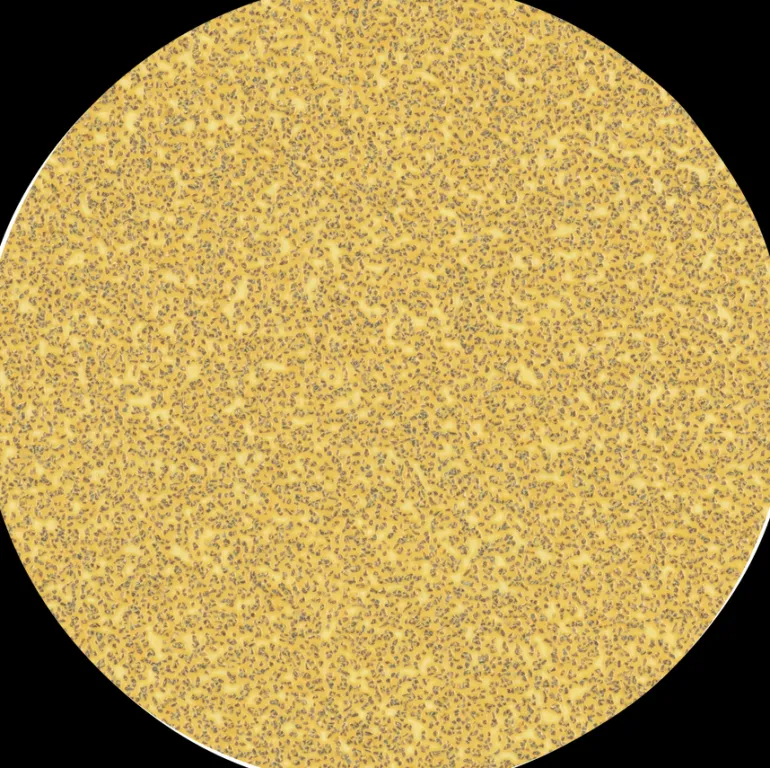 Hiomapaperi