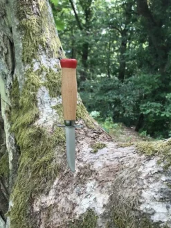 Partiopuukko